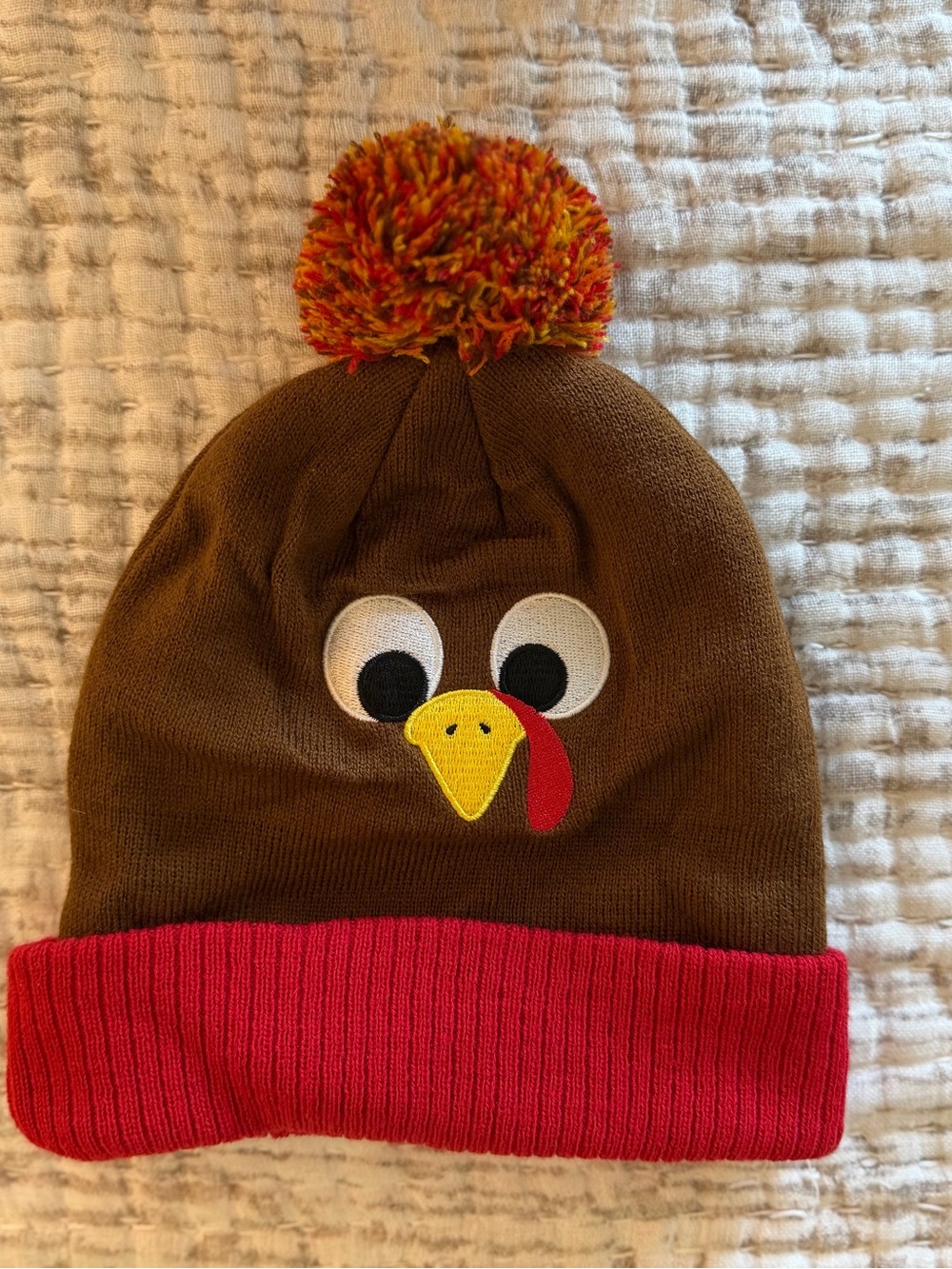 Thanksgiving Beanie - Picture 2 of 4